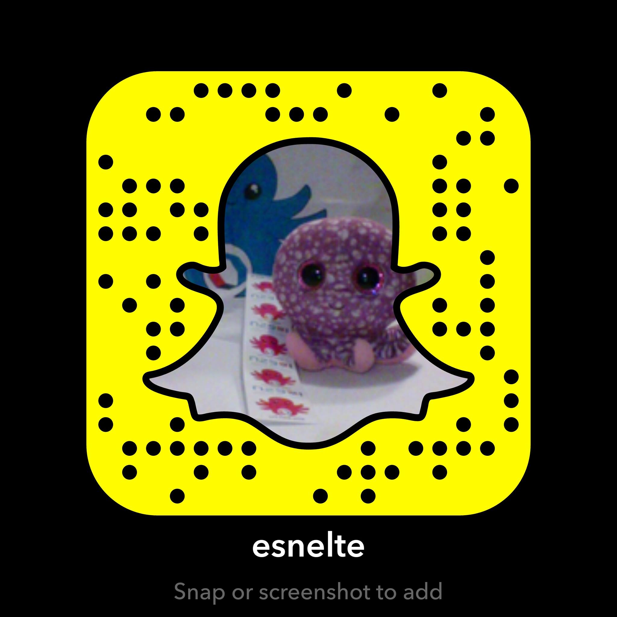 Snap or screenshot to add ESN ELTE on Snapchat