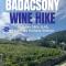 Image of Badacsony Wine Hike