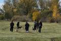 Image of Dog walking May