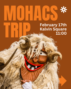 Image of Busójárás Trip