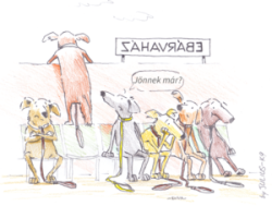 Image of ESN Dogwalking