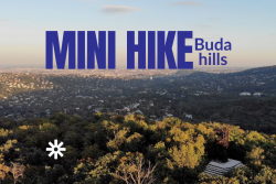 Mini Hike Buda Hills
