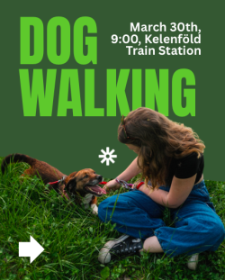 Image of March 30th Dog Walking