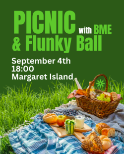 Image of Picnic + Flunkyball with ESN BME
