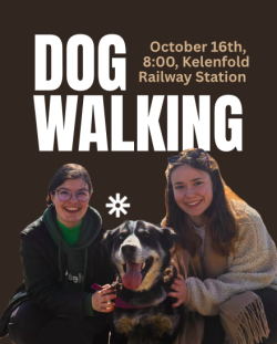 Image of Dog Walking October